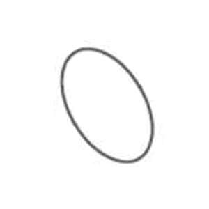 Waterway O-Ring For Hi-Flo Pump | 805-0256