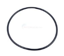 Pump Cover O-Ring For Hurricane D-2 Pump | BLUAC81922
