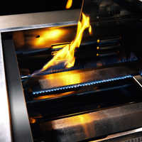 TrueFlame 25" 3 Burner Gas Grill - Natural Gas