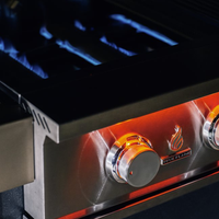 TrueFlame 25" 3 Burner Gas Grill - Natural Gas