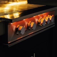 TrueFlame 25" 3 Burner Gas Grill - Natural Gas