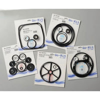 Aladdin GO-KIT66 for Hayward Northstar Pool Pump | AEQGOKIT66