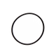 Aladdin Hayward DE Filter O-Ring | O-24