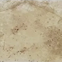 Travertine Coping