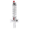 Blue-White F300 Flowmeter for 1-1/2