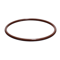 CMP PowerClean Ultra Chlorinator Cover O-Ring | 26101-060-530