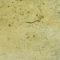 Travertine Coping