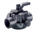 Jandy Neverlube Valve PVC 2 2 1/2 2Port | 2716