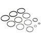 Jandy Pro Series O-Ring Replacement Kit | R0358000