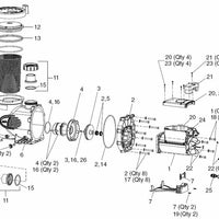Jandy 2" x 2-1/2" Tail Piece, O-Ring & Coupling Nut | R0446101