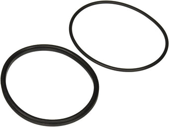 compare product Jandy Pro Series Lid Seal & O-Ring | R0449100
