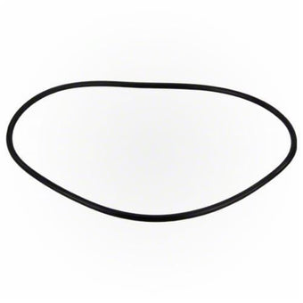 compare product Jandy Pro Series FHP Backplate O-Ring | R0480300