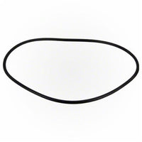 Jandy Pro Series FHP Backplate O-Ring | R0480300