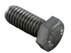 Pentair SS Bolt Hex Head 3/8