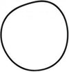Pentair Oring C-18 | 071433