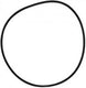 Pentair Oring C-18 | 071433
