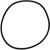 Pentair Pump/Filter Lid O-Ring, 8.5