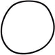 Pentair Pump/Filter Lid O-Ring, 8.5