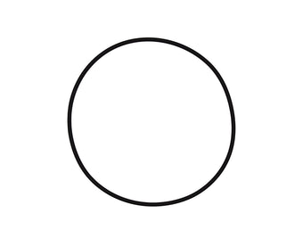 compare product Pentair Tagelus/Triton Lid O-Ring | 152517