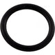 Pentair O-Ring Drain Plug | 192115Z