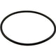 Pentair #2-146 Bulkhead O-Ring | 192320