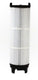 Pentair Sta-Rite System 3 Filter Cartridge 100 sf | 25021-0200S