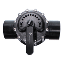Pentair 2.5" x 3" CPVC 2-Way Diverter Valve | 263059