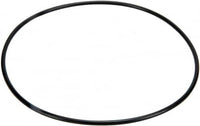 Pentair 271151 - Cover O-Ring 172X4 EPDM 70A E7 |  271151Z