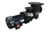 Pentair EQ Series Commercial Plastic Pool Pump, 10 HP, 208-230/460 V, Three Phase, with Strainer | 340034