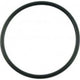 Pentair WhisperFlo #238 Diffuser O-Ring | 355227Z