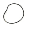 Pentair Challenger Front Housing O-Ring | 355329Z