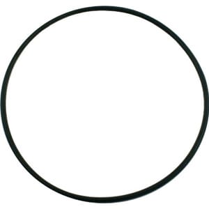 compare product Pentair Pinnacle/SuperFlo Seal Plate O-Ring | 355619Z