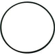 Pentair Pinnacle/SuperFlo Seal Plate O-Ring | 355619Z