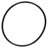 Pentair SuperFlo Strainer O-Ring | 357255Z