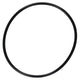 Pentair SuperFlo Strainer O-Ring | 357255Z