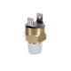 Pentair MasterTemp Pool Heater Automatic Gas Shutoff Switch | 42002-0025S