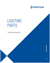Pentair Intellibrite 5G White LED Light Engine 300W | 619875Z