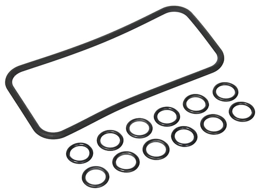 Pentair MasterTemp & Sta-Rite Max-E-Therm O-Ring Kit for Manifold & Tube Sheet Coil | 77707-0120