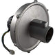 Pentair Combustion Blower Kit 200K Lp | 77707-0254