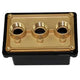 Pentair Junction Box Brass Base w/ Polycarbonate Cover - (3) - 1/2 in. ports | 78310500
