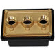Pentair Junction Box Brass Base w/ Polycarbonate Cover - (3) - 3/4 in. ports | 78310600