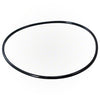 Pentair Clean & Clear/Posi-Clear/Predator Tank O-Ring | 87300400Z