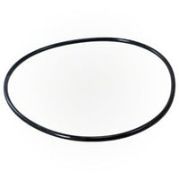 Pentair Clean & Clear/Posi-Clear/Predator Tank O-Ring | 87300400Z