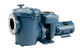 Pentair CSP/CCSP Series Commercial Self-Priming Pump, 15HP, 230/460 V, Three Phase | 022315373372