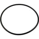 Pentair Rainbow Leaf Trap O-Ring | R172223
