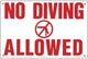 Pentair Sign No Diving Allowed, 12