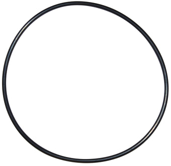compare product Pentair Seal Plate O-Ring | U9-228AZ