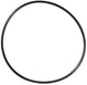 Pentair Seal Plate O-Ring | U9-228AZ
