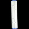 Hayward Swimclear C5025 C5030 W/Mgasket | PA131