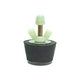 Winter Rubber Blow Through Plug #9 w/ Nylon Wing Nut for 1-1/2